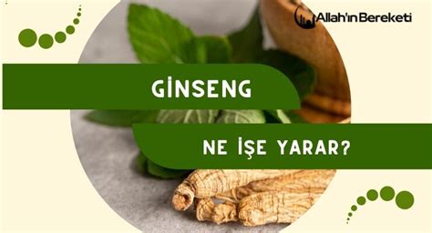 hermes korean ginseng ne işe yarar|ginseng nasıl kullanılır.